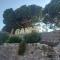 Place du Suquet - In the hart of old Cannes - 2 Min Walking distance from Palais de Festivals and Beaches