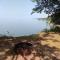 3778 East Lake Road