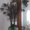 GALLE - Suite dos Infantes