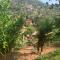 Chácara Monte das Oliveiras