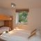 Apartmenthouse "5 Seasons" - Zell am See - Zell am See