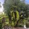 Banmai87 Guest House บ้านไม้87 เกสต์เฮ้าส์
