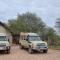 Garden Route Safari Camp - Mossel Bay