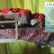 NamahStay BACKPACKER HOSTEL Commune, Cowork & Residency Arambol