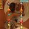 NamahStay BACKPACKER HOSTEL Commune, Cowork & Residency Arambol