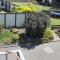 Camberley Court Motel