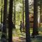 Forest Camping Mozirje - 莫济列