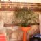 Albena Guest House