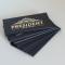 President Apartman 7 - Vračar (historical)
