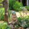 Studio Cres 7984a