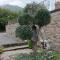 Country House - Mercogliano