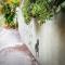 Kitesurf 1770 Beach House Stay and Investment Opportunity