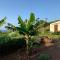 Palmeira Da Cruz EcoLodge
