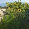 Petit gite de Provence