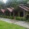 Wisma Leuser Sibayak & Jungle Trekking