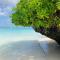 MITI Beach Bungalows