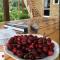 Guesthouse Arber