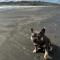 Raglan Retreat on Gilmour