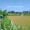 Bali Paradise Hotel Boutique Resort