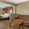 Comfort Inn Romeoville - Bolingbrook