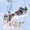 Comfortable And Convenient Ski In, Ski Out 4 Bedroom Condo In Snowmass Village - Аспен