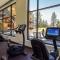Ultimate Luxury Residence with Extras Galore across from Heavenly Village & Gondola - Zalanta Resort - South Lake Tahoe