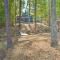 Lakefront Anderson Paradise Dock, Fire Pit! - Anderson