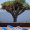 Casa Lola Lanzarote piscina climatizada y wifi free