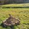 Maison à lancienne avec grand terrain , animaux bienvenus