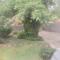 The Calm Views Holiday Home - 雾观