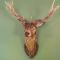 The Pheasant Hotel, Holt, Norfolk - The Coaching Inn Group