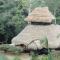 Cuyabeno River Lodge