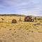 22STR-00360 Fairplay Cabin with Fire Pit, Mtn Views!
