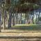 Beach Front Apartment In Marinella Di Sarzana With Wifi