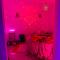 Jacuzzi Appartement love room - Freneuse