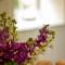 The Potting Shed, 5* Luxury escape Cirencester