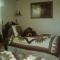 BEAR CABIN GETAWAY!!!(SPA) Pet Friendly Backyard
