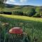 BIESZCZADY Gabra Chata