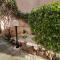 Olive Tree