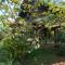 Chena Huts Eco Resort - Sigiriya