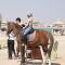 Hurghada Coral Beach Hotel - Hurghada