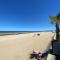 Les Pins Penchés