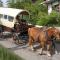 Ferienhaus am Wald - Einzelstandort mit Wallbox