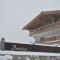Alpen Chalet Dorfwies - 蒂罗尔-基希贝格