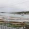 The Teifi Waterside Hotel - 卡迪根