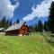 Cosy Chalet on Pokljuka - Brunarica Tinkara