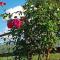 Il Faggio 17 B&B