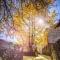 Banyan Tree Tengchong