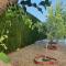Villa Victoria 400 meters to the beach