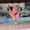 Villa Askamnia and Suites - 尼基季